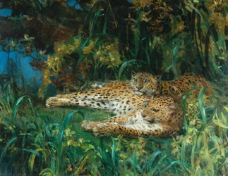 Indische Leoparden